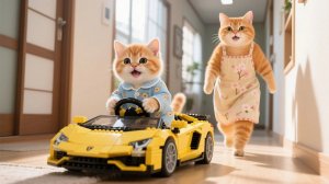 Рыжий котенок весь день ждет подарка-сюрприза LEGO от Папы-кота 🎁🐱