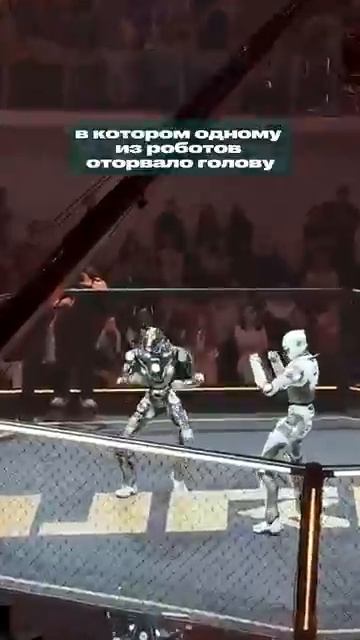 UFC: Время терминаторов!