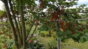 На лавочке возле дома 🍒сижу - отдыхаю.