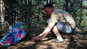 В лес за грибами