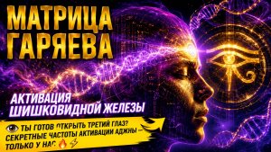 Матрица Гаряева. Активация шишковидной железы. Открой третий глаз по технологиям Тертышного-Гаряева