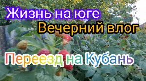 31-07-2026/ Вечерний влог/ Живём и работаем на Кубани/ Переезд на юг/  Обработали персики/Наша жизнь