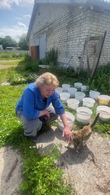 Кисенька — помощник повара и лучший мышелов 😍🐱🍗