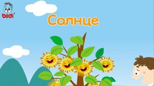 Солнце