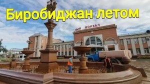 Биробиджан  летом, загремела в больницу
