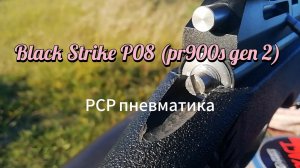 BLACK STRIKE P08 (PCP, пластик, 3 Дж) 5,5 мм