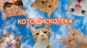 КОШАЧЬЯ ДИСКОТЕКА! 😂 Смешные котики танцуют головами в такт музыке