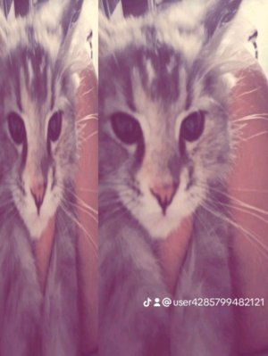 алинчик