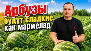 Арбузы сразу станут сладкими после такой подкормки! Проверено не раз 🍉