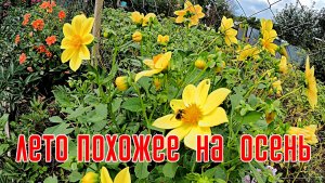 ЛЕТО ПОХОЖЕЕ НА ОСЕНЬ