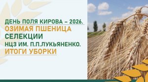 День поля Кирова – 2026. Какой сорт оказался самым урожайным?