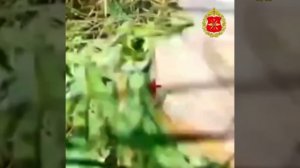 Уничтожение живой силы ВСУ