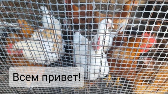 ВЫГОРАНИЕ ПРОШЛО|ВОССТАНОВИЛА КАНАЛ.  #деревня #деревенские #домвдеревне