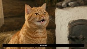 Коты приехали в деревню. Барон сдался за 4 часа [Подкаст Котов]