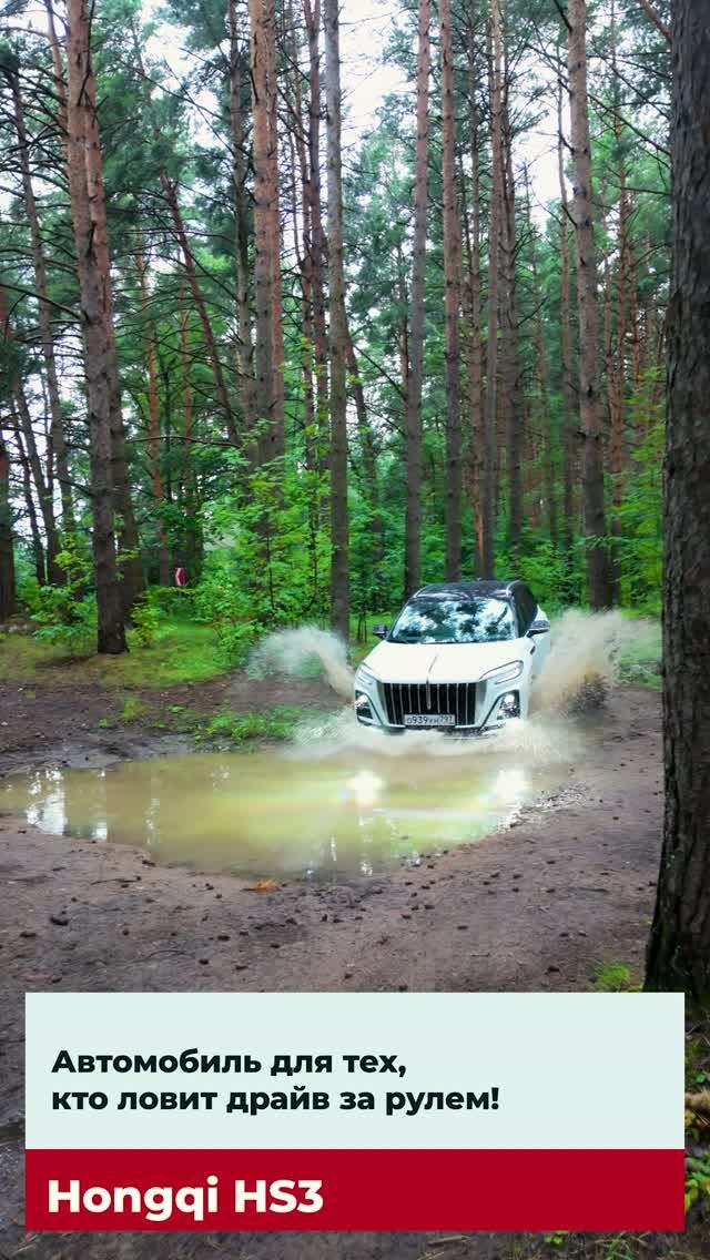 промо