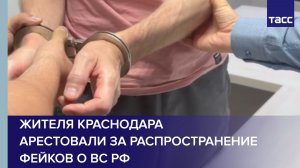Жителя Краснодара арестовали за распространение фейков о ВС РФ