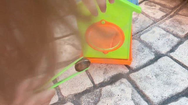 Отправляемся на поиски улиток. Распаковка набора для детей.