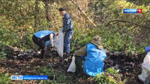 В лесах Кировской области убирают свалки
