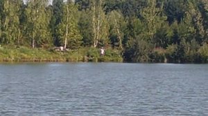 Поимка карпа на большом водоёме