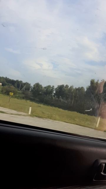 мы едем на природу😁💚🤩