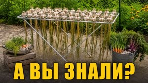 САДОВЫЕ лайфхаки для дачнкиов, которые должен знать КАЖДЫЙ!
