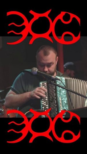 Гитара и Пингвины #shorts #guitar #pinguins  #музыкальность #ehomusic