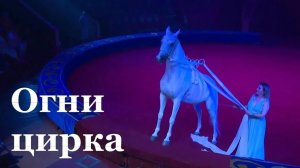 В Луганске прошла открытая генеральная репетиция новой программы «Цирк зажигает огни»