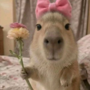 спасибо огромное за 10 подпищиков🥰🥰🙂🙂☺☺😁😁😄😄