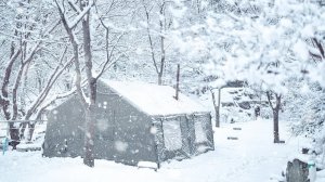−16 градусов, снег и буря: уютная ночь в палатке