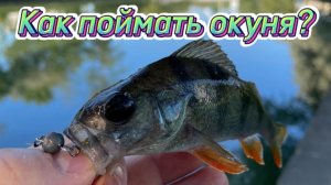 Как ловить на микроджиг или ультралайт? Какой спиннинг и приманки нужны для микроджига?
