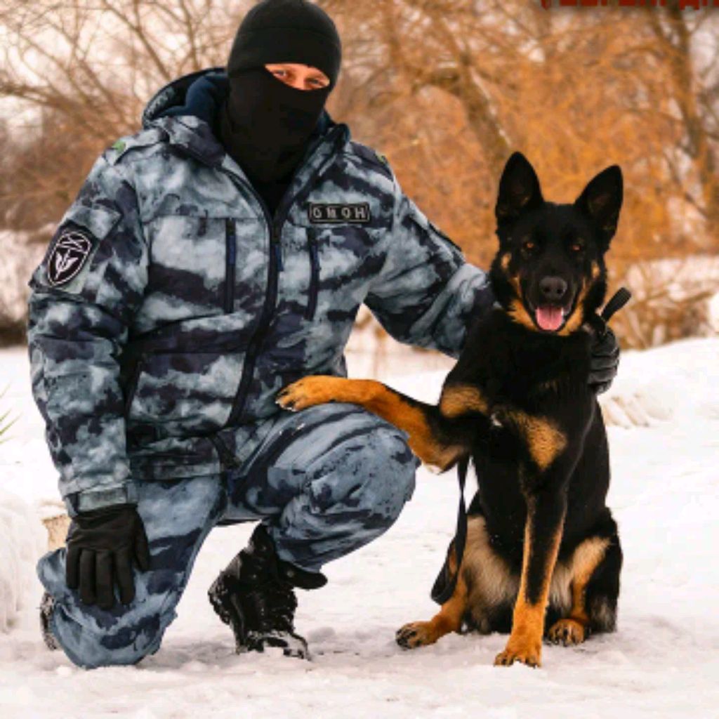 лалвщыщвсд