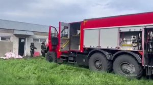 При пожаре на свинокомплексе под Курганом погибли 2500 поросят