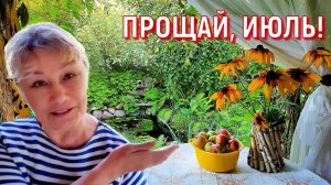 Июльская дача: что цветёт и зреет? DIY ваза своими руками