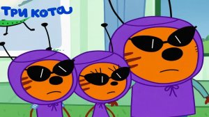 Три Кота 🐱🐱😽