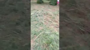 лайфхак