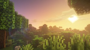 Играю на сервере reallyworld