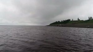 Рыбалка неводом. Тугун порадовал.