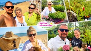 Влог ! Едем в гости к бабуле ! Купили домой цветы !