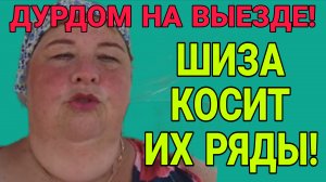 ШИЗА КОСИТ ИХ РЯДЫ🤣 ОЛЬГА УРАЛОЧКА LIVE. ОБЗОР.