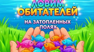 Ловим разноцветных декоративных рыбок в маленьком пруду
