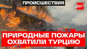 Огонь, пожирающий леса! Природные пожары атаковали Турцию