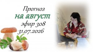308. Прогноз на август.