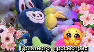 ЛЕТНИЙ ВЕЧЕР🌇ВРЕМЯ СМОТРЕТЬ НОВОЕ ВИДЕО ПРО ХВАТАЙКУ с CAPTURE WINNER 😍😍😍