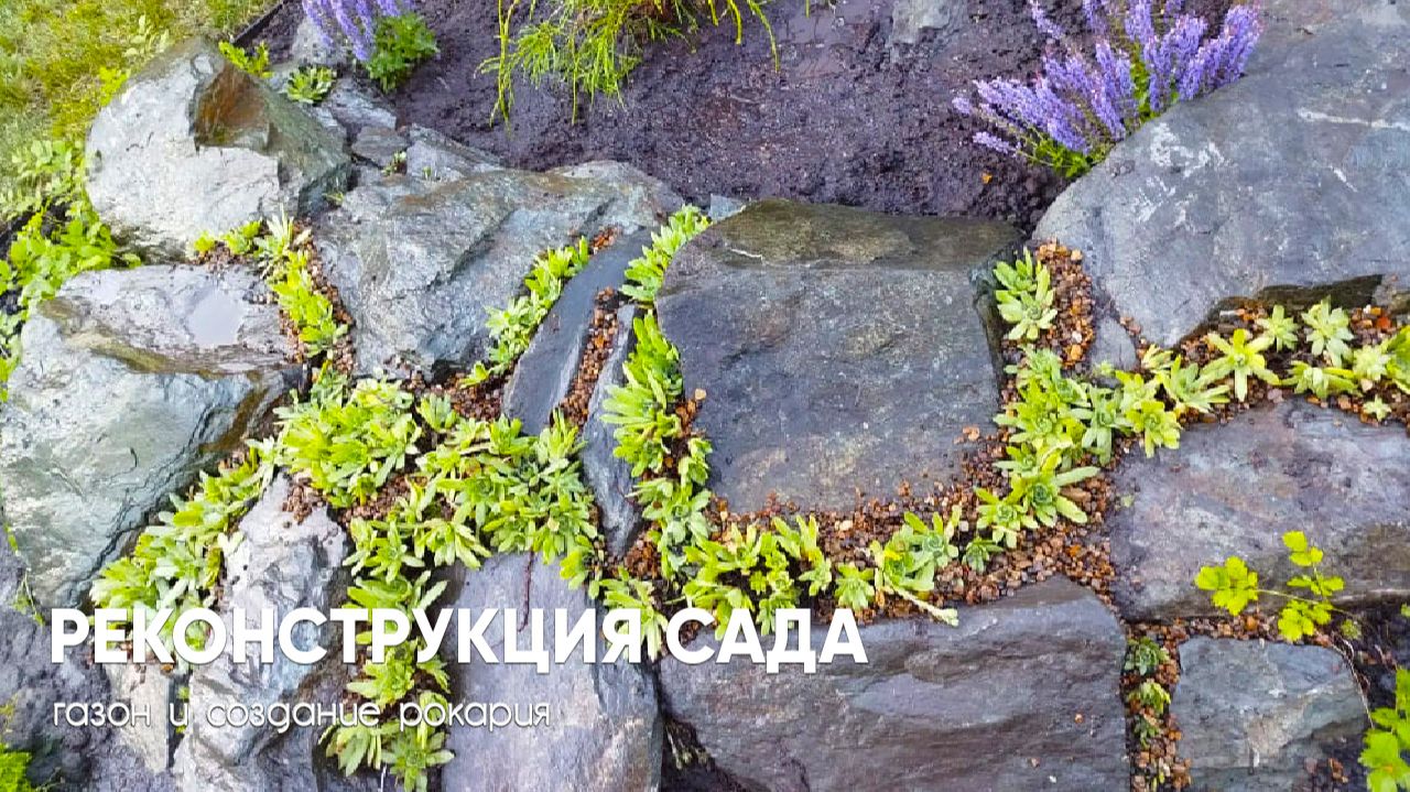 Реконструкция сада: как обновить участок без лишних трат