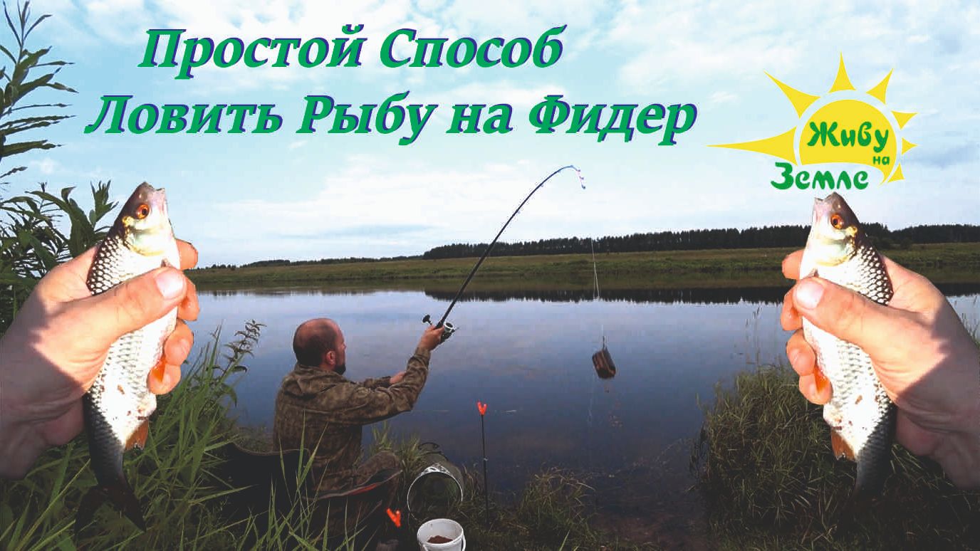 Самый Простой Способ Ловить Рыбу на Фидер