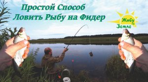 Самый Простой Способ Ловить Рыбу на Фидер