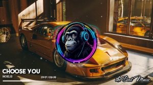 Choose You - Noelis
