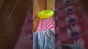 1 сезон 19 серия батут