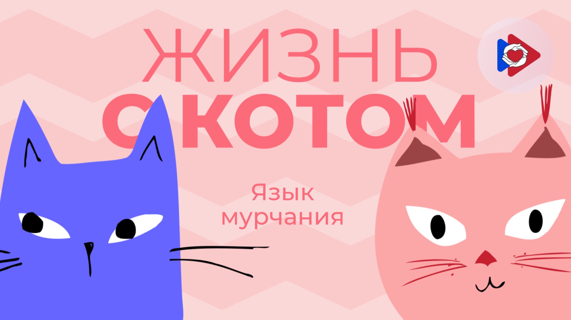 Жизнь с котом! Язык мурчания