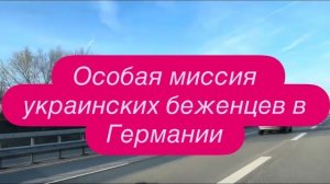 Охота, которую устроили украинские беженцы в Германии. #новости #беженцыизукраины